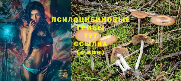 МДМА Куйбышев