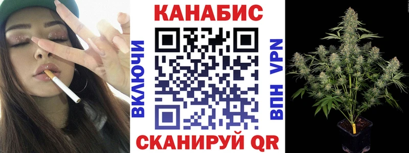 Бошки марихуана конопля  Купить  Светлогорск 